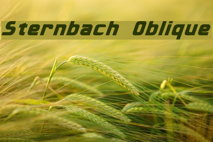 Sternbach Oblique Font examples