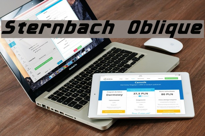 Sternbach Oblique Font examples