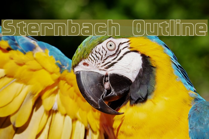 Sternbach Outline Font examples