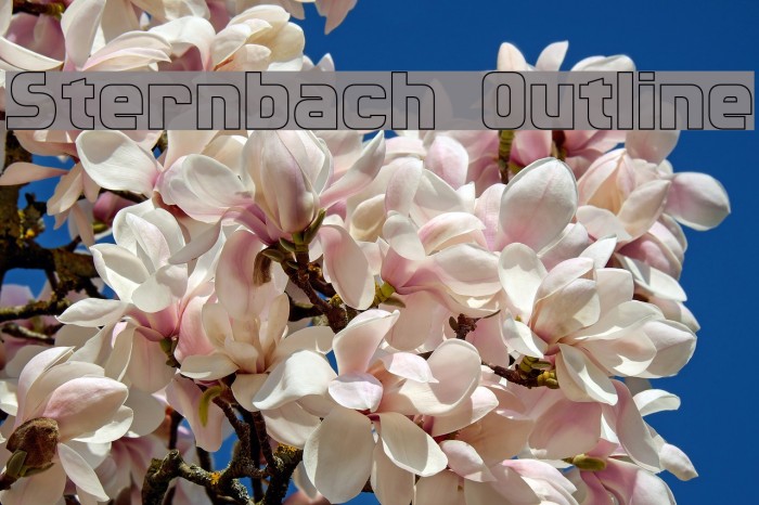 Sternbach Outline Font examples