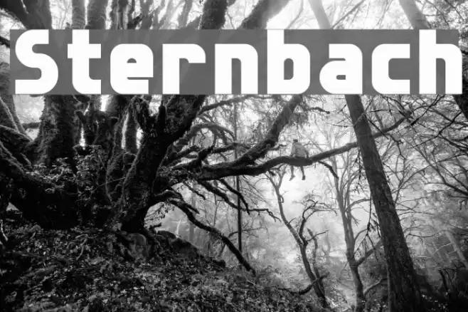 Sternbach Font examples