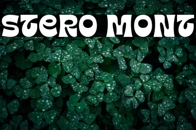 Stero Mont Example 2