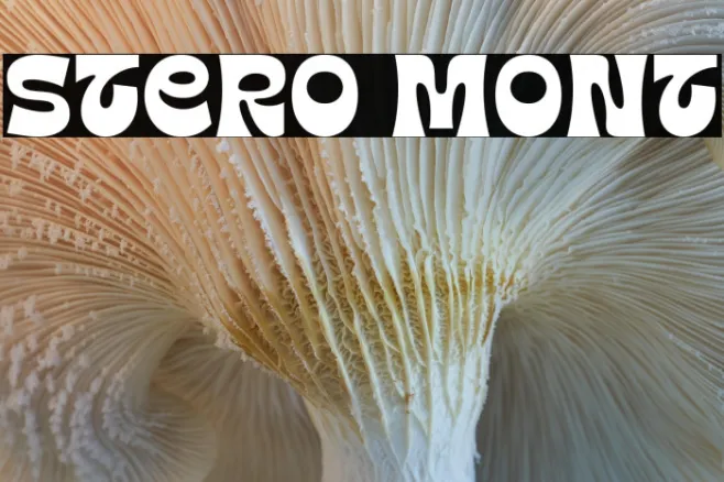 Stero Mont Example 3