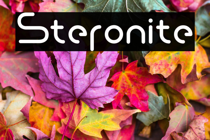 Steronite Example 1