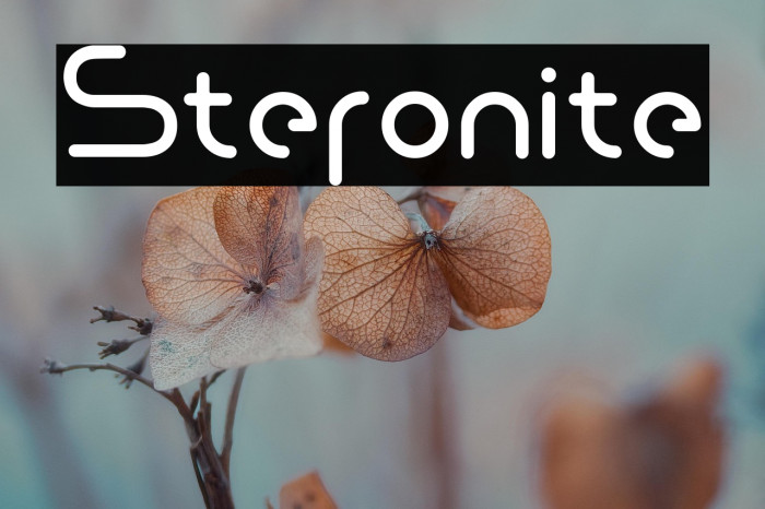 Steronite Example 2