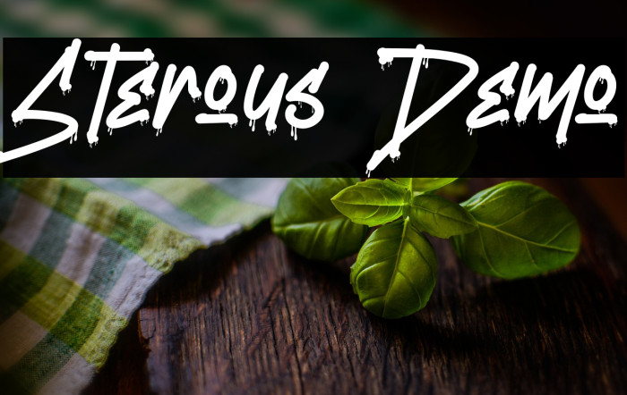 Sterous Demo Example 2