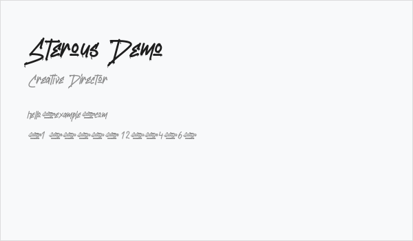 Sterous Demo Business Card