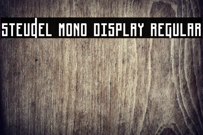 Steudel Mono Display Regular Example 1