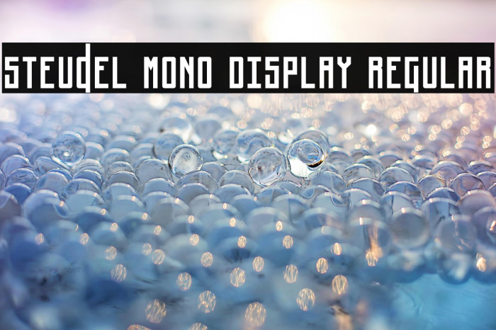 Steudel Mono Display Regular Example 2