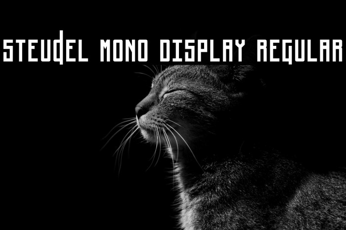 Steudel Mono Display Regular Example 3