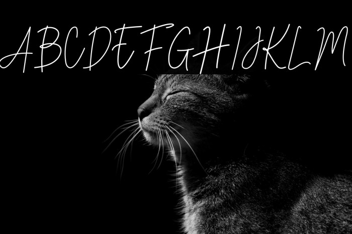 Stev Luts Italic Example 1