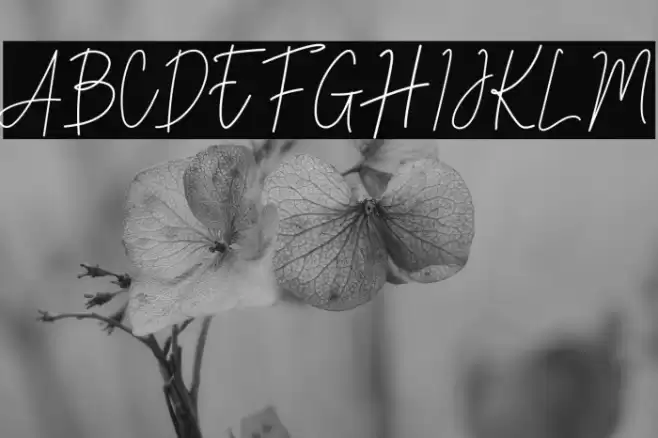 Stev Luts Italic Font examples