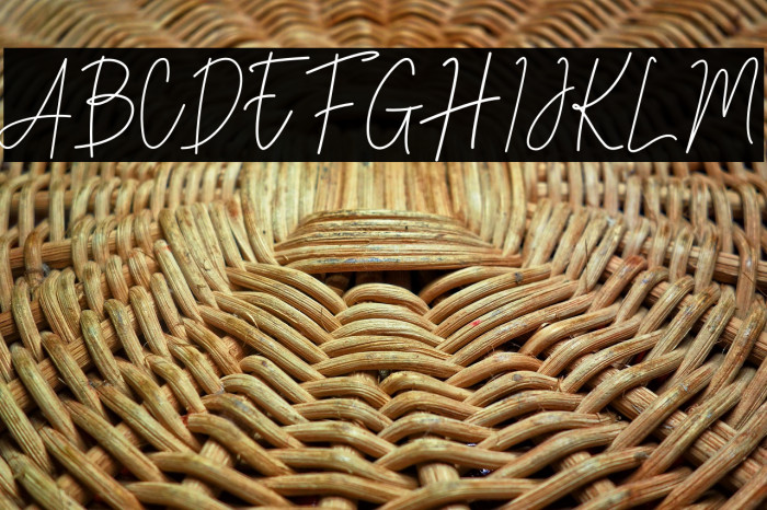 Stev Luts Italic Example 3