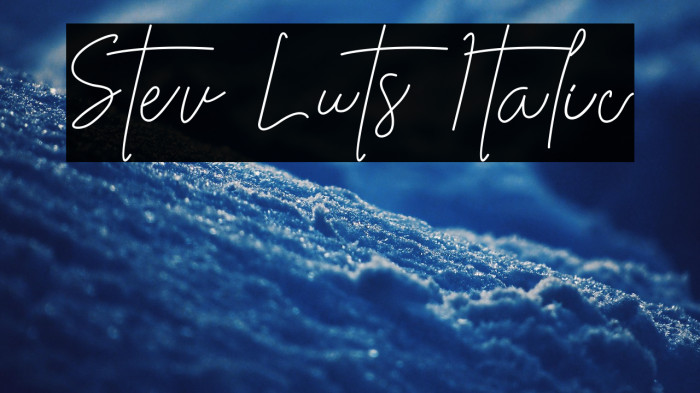 Stev Luts Italic Example 3
