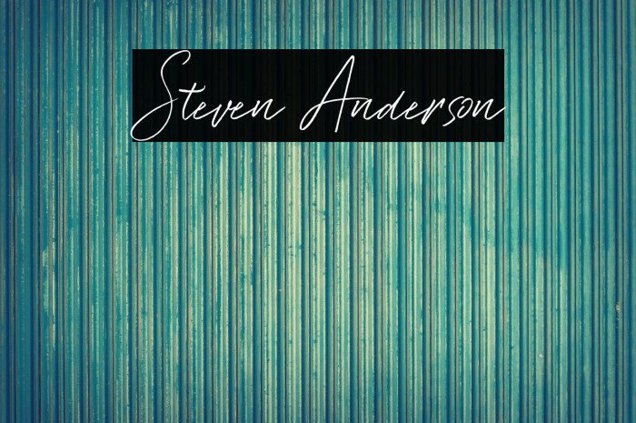 Steven Anderson Example 1