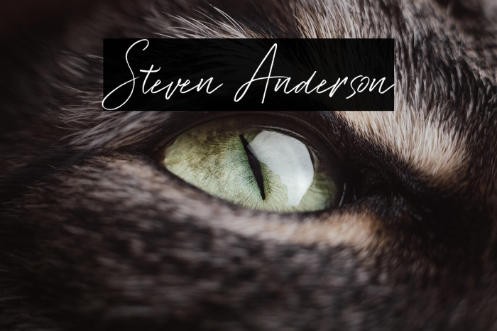 Steven Anderson Example 2