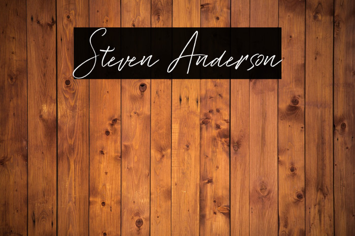 Steven Anderson Example 3