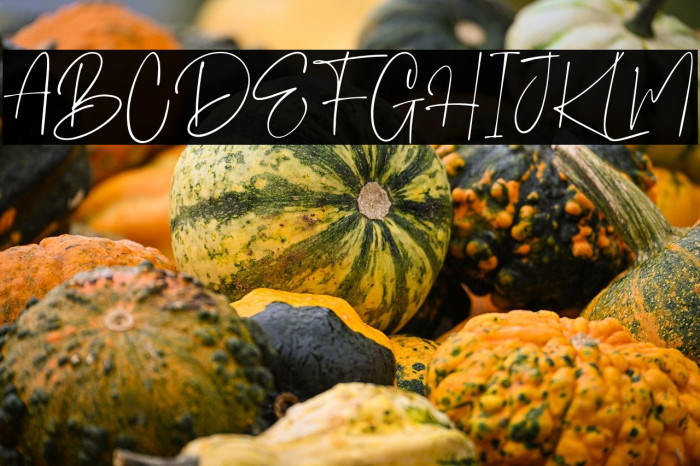 Steven mattew Regular Example 2