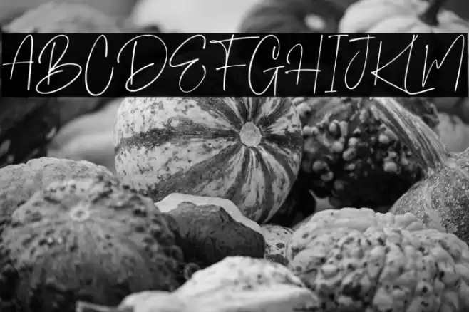 Steven mattew Regular Font examples