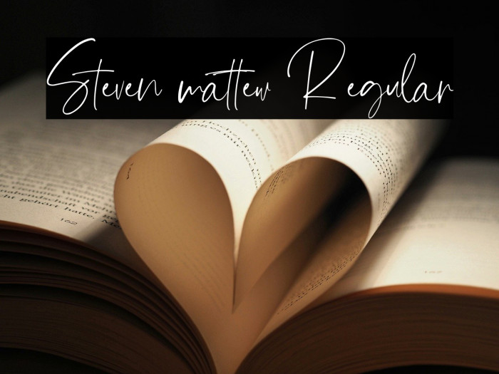 Steven mattew Regular Example 2