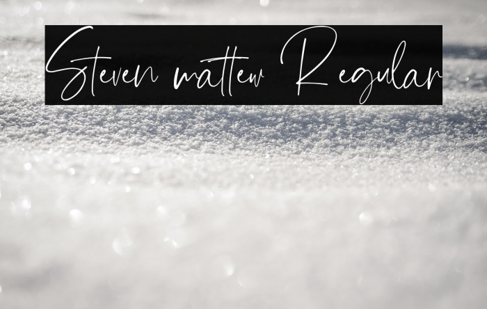 Steven mattew Regular Example 3