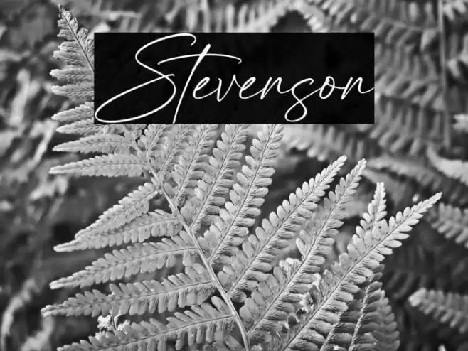 Stevenson फ़ॉन्ट examples