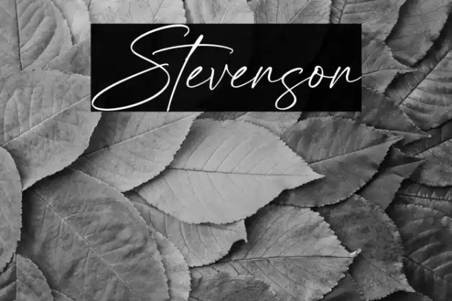 Stevenson फ़ॉन्ट examples