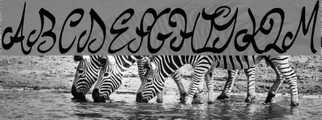 Stew Tuesdays Font examples