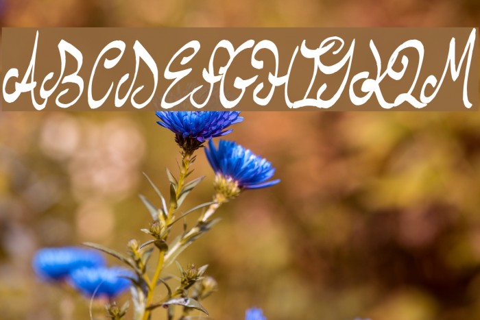 Stew Tuesdays Font examples
