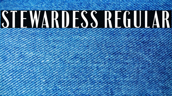 Stewardess Regular Example 1