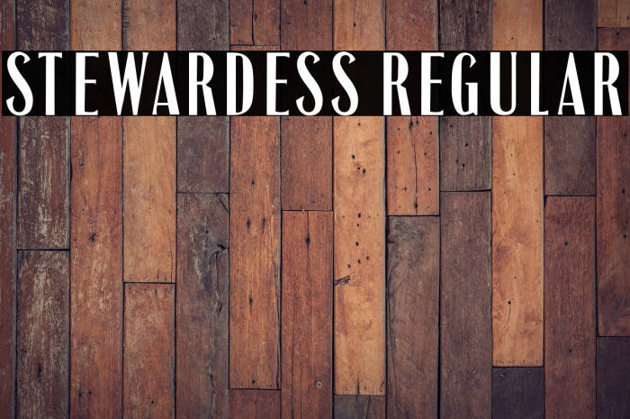 Stewardess Regular Example 3