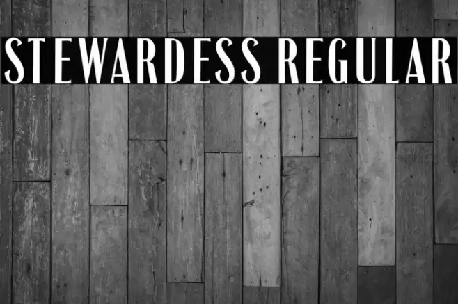 Stewardess Regular Font examples