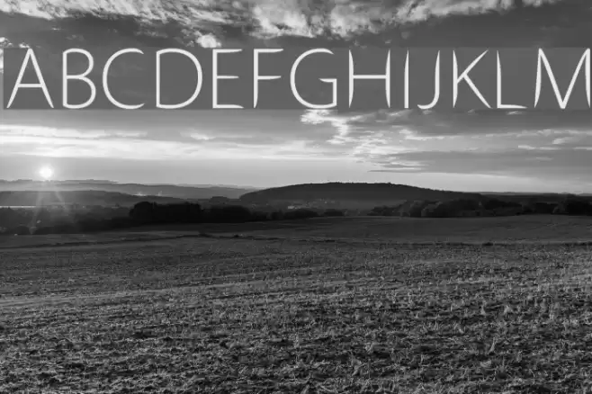 Stewart Sans Caratteri examples