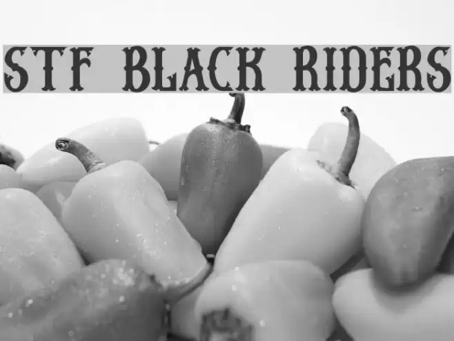 Stf BLACK RIDERS Font examples