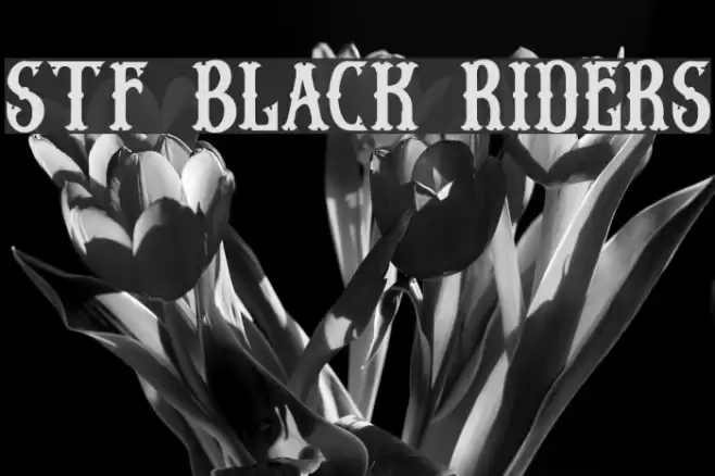 Stf BLACK RIDERS Font examples