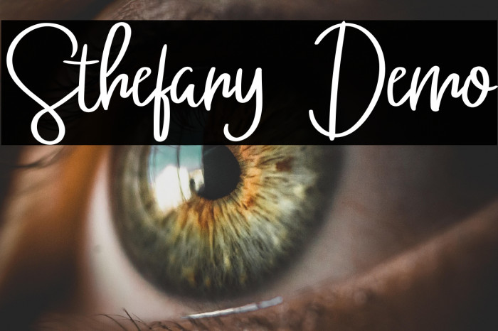 Sthefany Demo Example 3