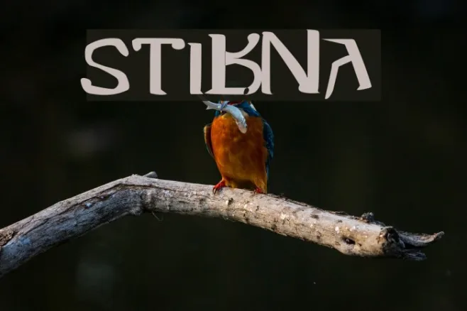 Stibna Example 1