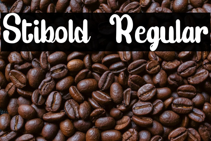 Stibold  Regular Example 1