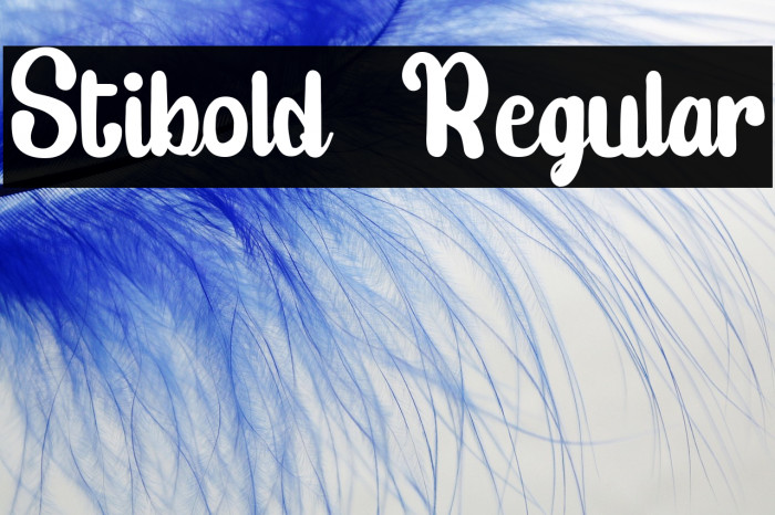 Stibold  Regular Example 2