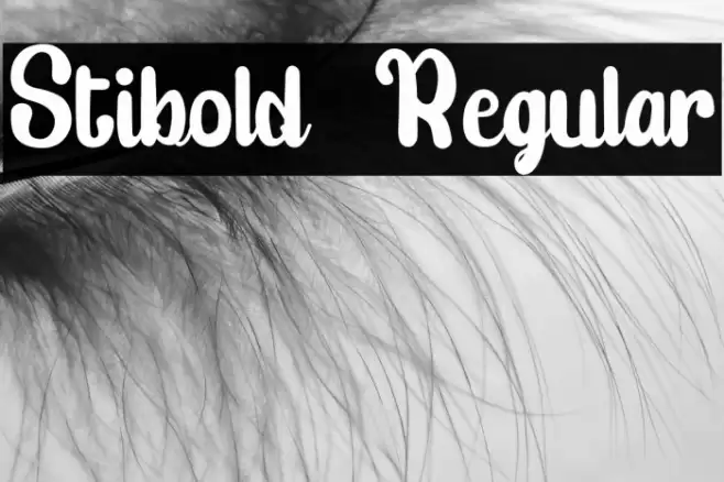 Stibold  Regular Font examples