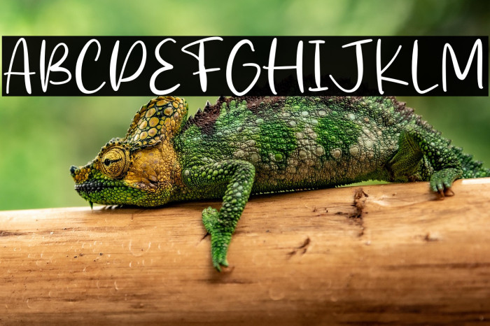 Stick Cream Example 1