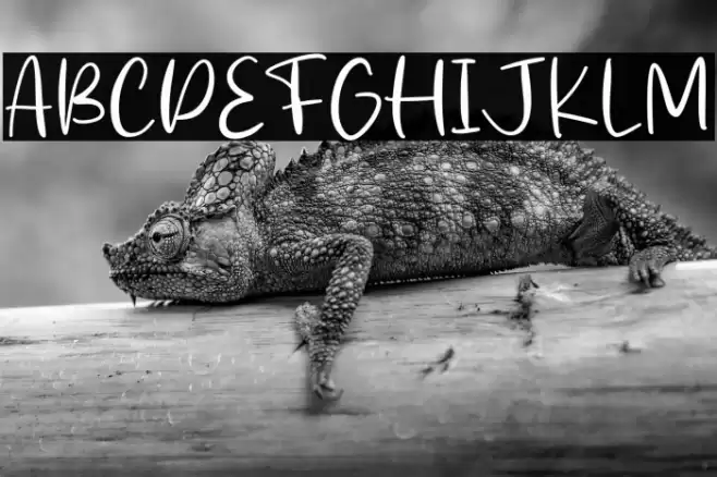 Stick Cream Font examples