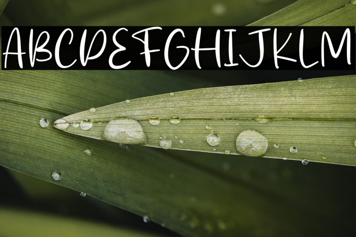 Stick Cream Example 3