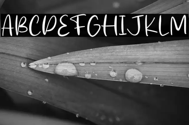 Stick Cream Font examples