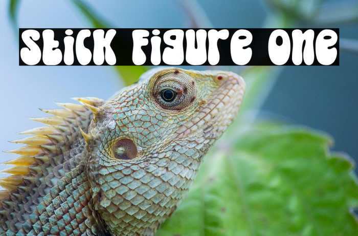 Stick Figure One Example 1