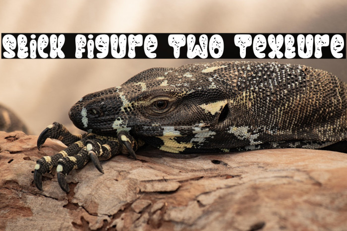 Stick Figure Two Texture Example 2