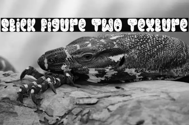 Stick Figure Two Texture Шрифта examples