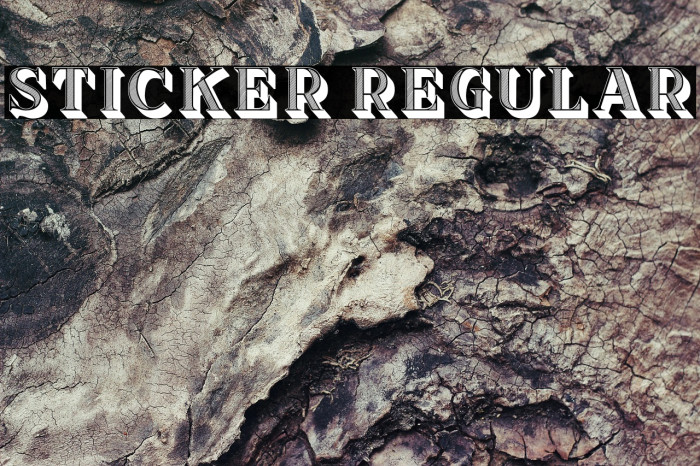Sticker Regular Example 3