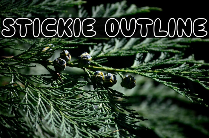 Stickie Outline Example 2