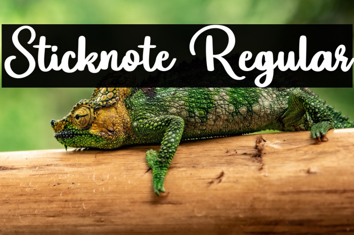 Sticknote Regular Example 2